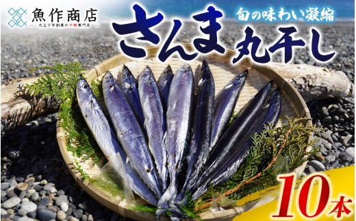 干物 さんま丸干し 10本 【魚作商店3代目の丸干し製法】 ひもの サンマ 秋刀魚 冷凍 海鮮 魚介類 特産品 焼き魚 魚 おかず おつまみ 三重県 熊野市【uosk0015】