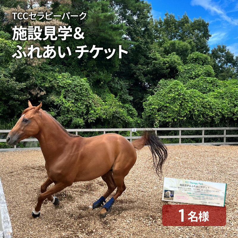 【ふるさと納税】TCCセラピーパーク施設見学＆ ふれあい チケット (1名様分) 馬 ホース ウマ 体験 セラピー　 体験チケット 体験型 動物 ホースシェルター ふれあい体験 おでかけ