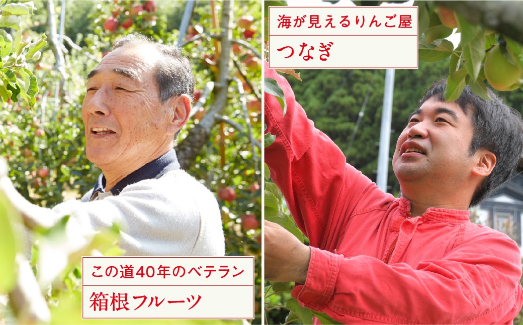 りんご農家さんご紹介2