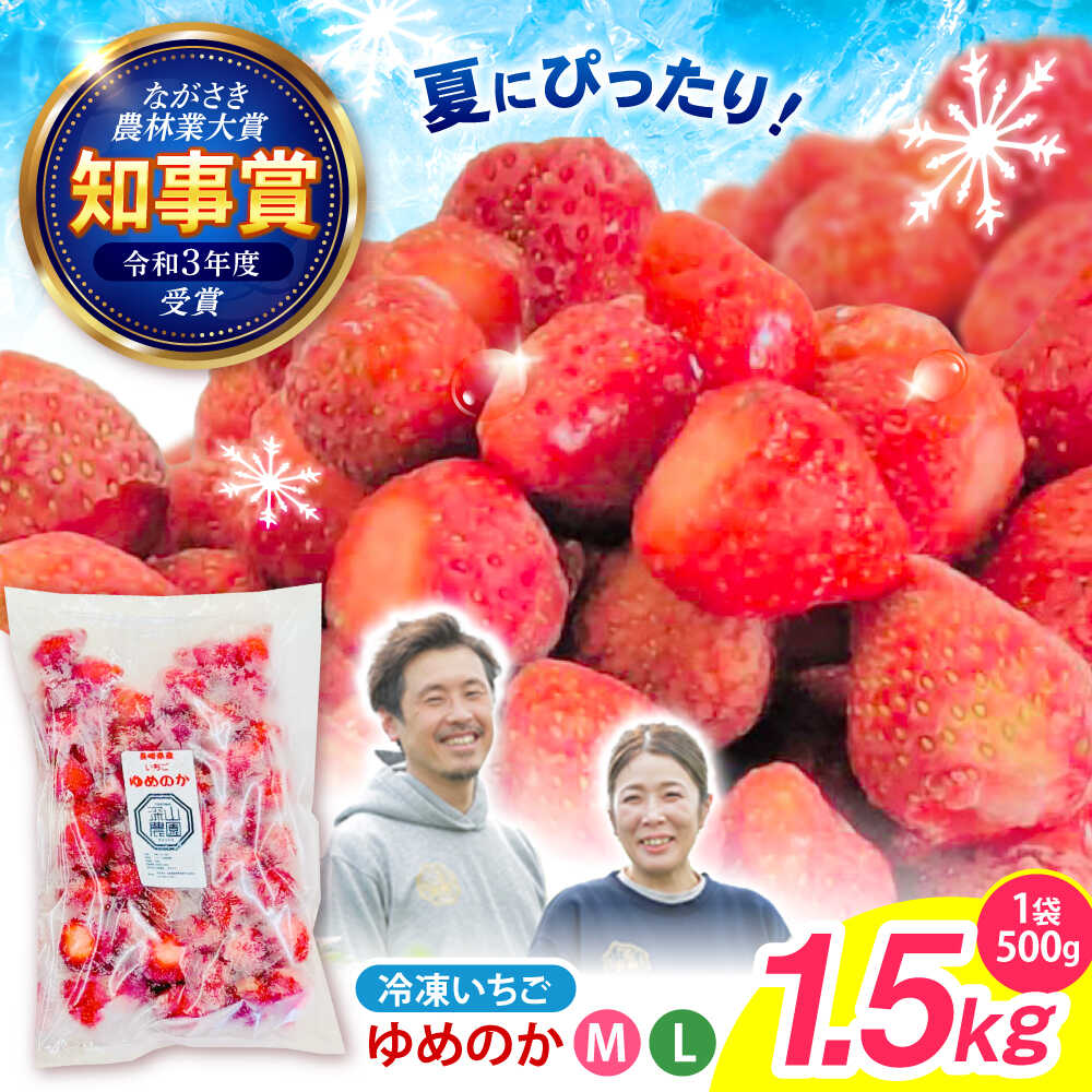 【ふるさと納税】【完熟の恵み、ぎゅっと冷凍！】冷凍いちご「ゆめのか」 M-Lサイズ 1.5kg(500g×3) / いちご イチゴ 苺 冷凍 冷凍いちご 冷凍フルーツ イチゴジャム / 諫早市 / むらたサービス[AHFA001]