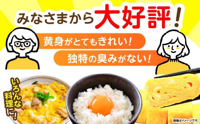 産直枇杷たまご 5kg / 卵 たまご 鶏卵 国産 玉子 枇杷 / 諫早市 / 長崎県養鶏農業協同組合 [AHCX003]