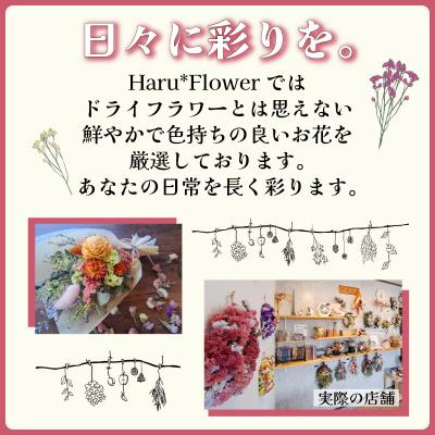 ふるさと納税 下関市 ドライフラワー花束 Lサイズ ブルー系 LN003 |  | 01