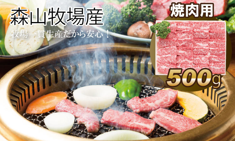 
鮮度が違う！森山牧場 焼肉セット（500g） 黒毛和牛
