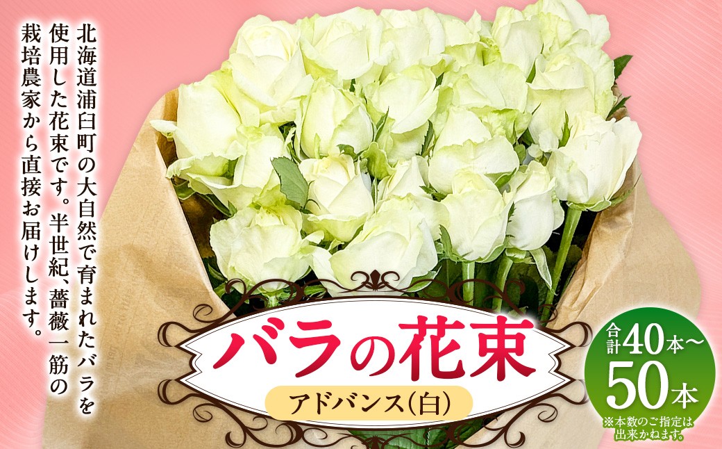 
                  バラの花束 アドバンス（白）（40‐50本）| 花 バラ 薔薇 ローズ 生花 花束 ブーケ 白 贈り物 プレゼント ギフト【2026年11月下旬頃迄発送予定】
                
