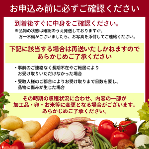 【通常セット】 野菜セット 4~12種類 詰め合せ 季節の野菜 旬の野菜