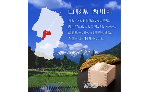 【1月発送】令和7年度 山形県産 雪若丸 5kg 白米 精米 ご飯 ごはん 国産 ブランド米 ゆきわかまる 食品 山形県 西川町 月山 FYN1-357