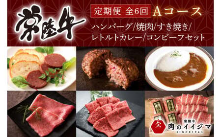 【定期便 全6回】 肉 常陸牛 6ヶ月 定期便 Aコース ハンバーグ 焼肉 すき焼き レトルトカレー コンビーフ ギフト セット 母の日 食べ物ギフト対応 【肉のイイジマ】 茨城県 水戸市（DU-107）