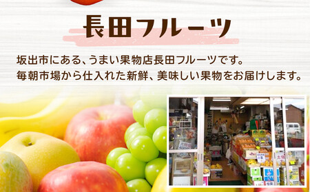 ＜定期便＞四季の美味しい果物詰め　年間４回に分けてお届け！