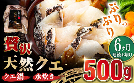 【全6回定期便】【 対馬産 】 天然 クエ 500g （切り身） 鍋 水炊き クエ 天然クエ [WAB019]
