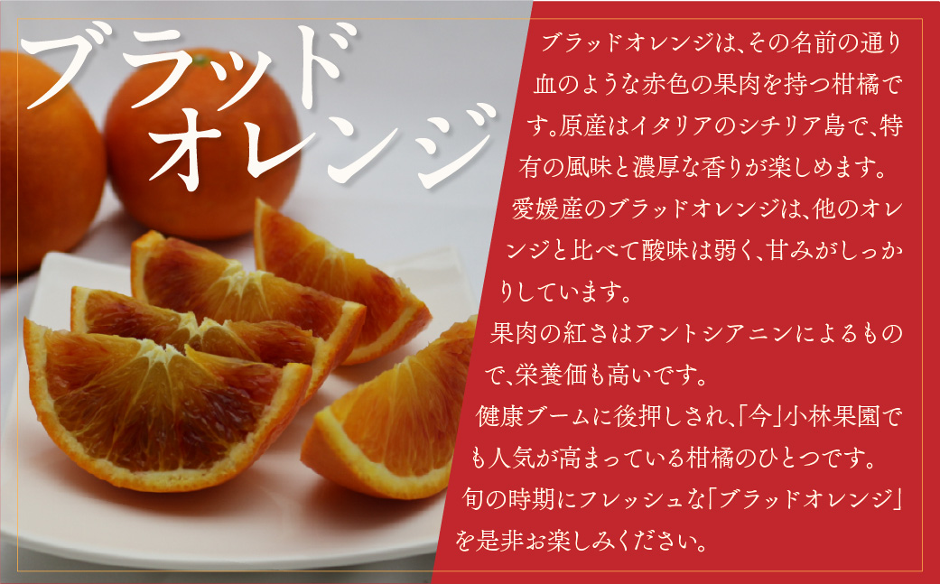 【先行受付】小林果園のブラッドオレンジ(約5kg)【C24-24】 YWTAD017