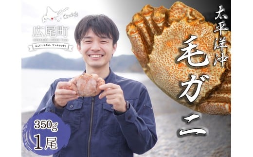 ボイル毛ガニ　350g　１尾（茹で冷凍）【けがに　ケガニ　毛蟹　毛がに　カニ　太平洋　北海道　広尾町　冷凍　ボイル　海鮮　グルメ】(0102)