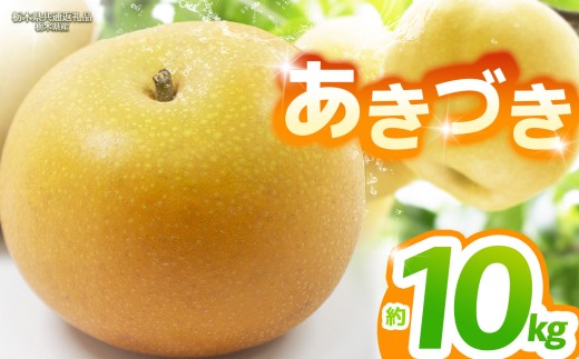 【2027年9月中旬先行予約】あきづき 約10kg |【栃木県共通返礼品】あきづき 梨 なし ナシ 新品種 先行予約 大粒 新鮮 甘い 美味しい 果物 くだもの フルーツ ふるーつ 共通返礼品 フルーツ デザート 栃木県 那珂川町