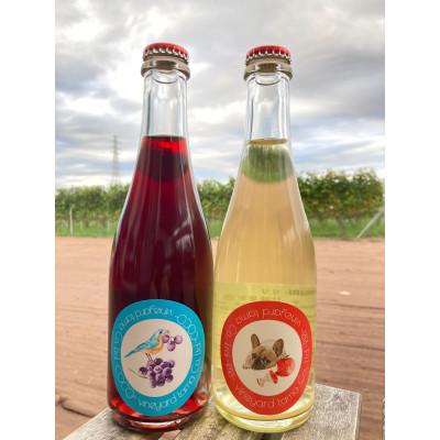 ふるさと納税 あきる野市 甘味果実酒　2本セット