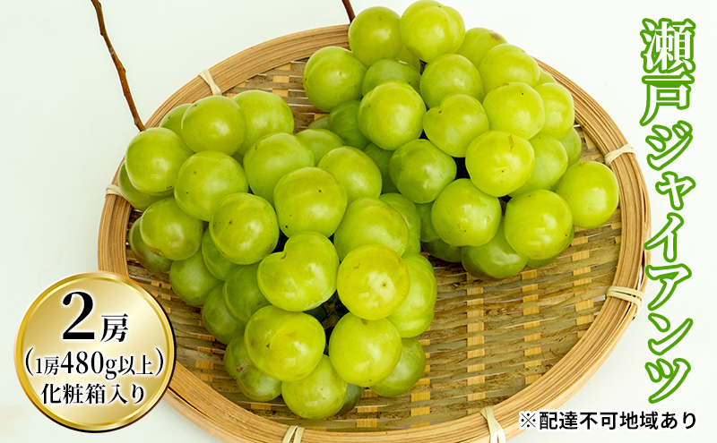 ぶどう 2026年 先行予約 瀬戸 ジャイアンツ 2房（1房480g以上）約1kg 化粧箱入り ブドウ 葡萄  岡山県産 国産 フルーツ 果物 ギフト 薄皮 皮ごと 高糖度 酸味控えめ 甘酸っぱい 