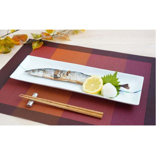 有田焼 irodoriライン パーティー長皿 2枚セット【よう楽庵・たかす】食器 うつわ 器 磁器 陶磁器 皿 長皿 長角皿 プレート 2枚 セット ペア 彩 パーティー 盛皿 魚 和食 洋食 df0