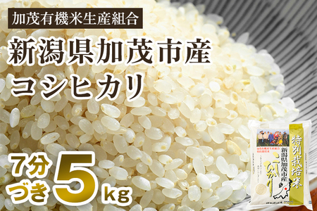 【令和5年産米】【7分づき】新潟県加茂市産 特別栽培米コシヒカリ 精米5kg 従来品種コシヒカリ 加茂有機米生産組合 コシヒカリ 新潟県産コシヒカリ 米 お米