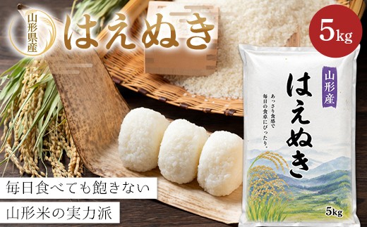 
                  令和8年度新米 【山形県産】 はえぬき5kg～毎日食べても飽きない山形米の実力派～ F2Y-4801
                