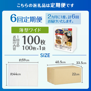 定期便 6回 ペットシーツ 【極】シリーズ 薄型ワイド 100枚 ペット用 犬用 猫用 トイレシーツ 日用品 ペット用品 防災 備蓄 消耗品 ドッグ キャット わんちゃん ねこちゃん 静岡県 富士市 