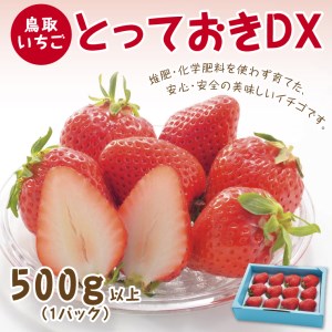 【0516】とっておきDX 500ｇ【鳥取いちご】(とみハウス)