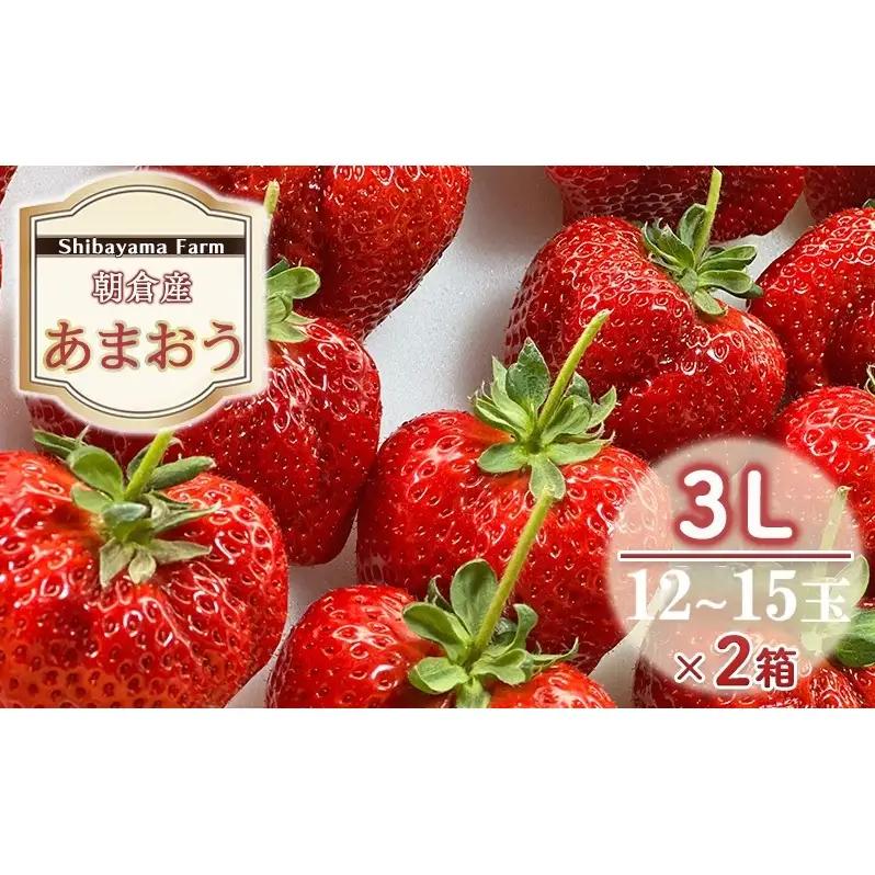 いちご 朝倉市産 あまおう 3L 12～15玉×2箱 いちご