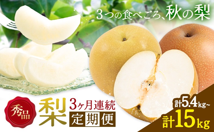 梨 定期便 秀品 3ヶ月連続 梨の定期便 選べる 内容量 計5.4kg 計9kg 計15kg 日本フルーツ株式会社《8月上旬-10月末頃出荷》熊本県 長洲町 なし ナシ 豊水梨 秋月梨 新高梨 果物 フルーツ---sn_cnfzntei_29500_mini_aug3---
