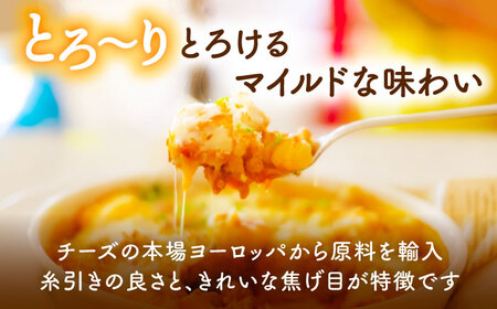 【3回定期便】 とろけるチーズ ミックスチーズ 300g×5袋[AEAA003]