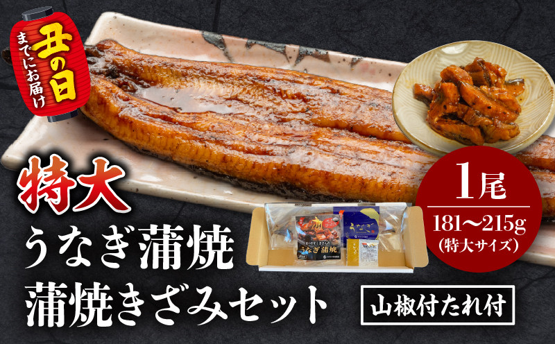 
            【選べる発送月】国産うなぎ蒲焼(特大サイズ)・蒲焼きざみセット_M069-017-SKU
          
