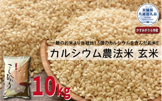 カルシウム農法米 玄米10kg 茨城県共通返礼品 かすみがうら市産 米 玄米 カルシウム米 10kg 茨城県産 共通返礼品 ごはん 粘り ツヤ カルシウム コメ お米 農法米 冷めてもおいしい