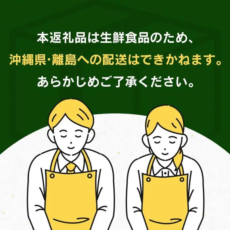 オンライン決済限定 みやざき 完熟マンゴー 3L × 2玉 期間限定 数量限定 マンゴー 宮崎 フルーツ 果物 くだもの 国産 食品 先行予約 2026 令和8年発送 濃厚 デザート おやつ おすすめ