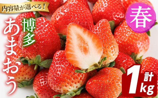 ＜先行予約受付中！2027年2月上旬以降順次発送予定＞博多 あまおう《春》 (計1kg・250g～270g×4パック) いちご イチゴ 苺 ストロベリー 果物 フルーツ おやつ デザート 冷蔵 アマオウ 旬 小分け 【農産物直売所ほたるの里】as52-009