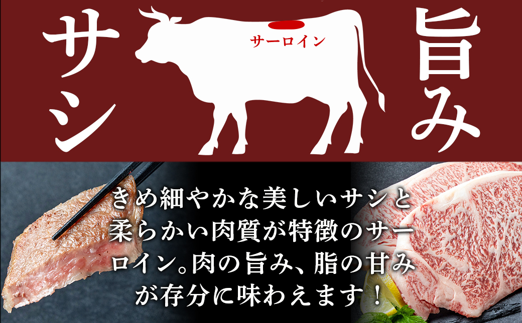 【お歳暮】宮崎牛サーロインステーキ200g×2≪11月17日～12月21日お届け≫_18-2501-WG