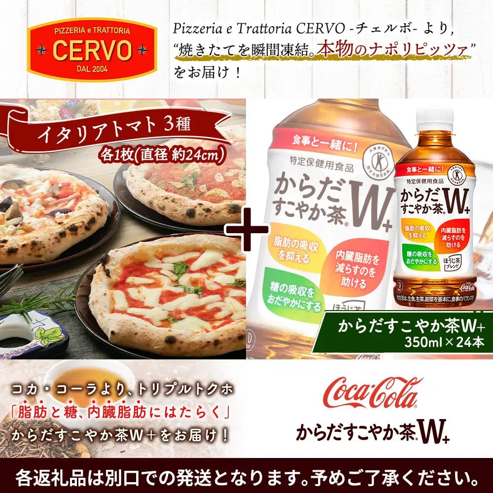 石窯ピッツァ3枚（トマト3種）とからだすこやか茶のセット【C9900801】