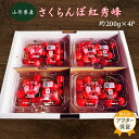 【ふるさと納税】＼アフター保証対象品／ 山形 の さくらんぼ 紅秀峰 800g 便利な 個装 （200g×4パック詰・M玉以上） 紅秀峰 は 佐藤錦 よりも甘味が強く実が固いため軟化しにくいです 【2025年6月〜7月発送分先行受付】令和7年 2025 H108(R7)