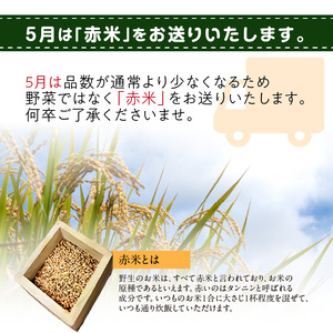 ＜京都産野菜定期便4回＞自然体な野菜セット 旬の野菜 野菜詰合せ 野菜セット 野菜定期便 ４回 自然農園 自然栽培 安心 安全 健康 マクロビ ベジタリアン 定期便 京野菜 京都 木津川  086-0