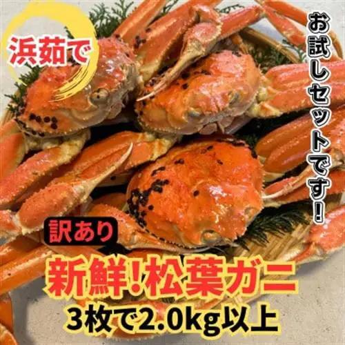 【さかなや新鮮組】鳥取県産 訳あり 浜茹で 松葉ガニ2.0kgセット ご家庭用 漁港直送【配送不可地域：離島・北海道・沖縄県・東北・信越、北陸】【1759409】