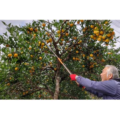 ふるさと納税 五木村 【道の駅オリジナル商品】くねぶぽん酢300ml |  | 02