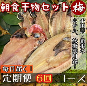 【毎月定期便6回】小田原、箱根の旅館、ホテル御用達！朝食干物セット 梅【 まぐろや 神奈川県小田原市 干物 干物 干物 干物 干物】