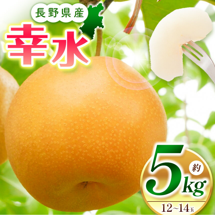 【ふるさと納税】【2026年発送】先行受付 幸水5kg（10～14玉）｜なし 梨 幸水 果物 果汁 農家 自然 ビタミン 地元 新鮮 ジューシー ふるさと納税 松本市 先行受付