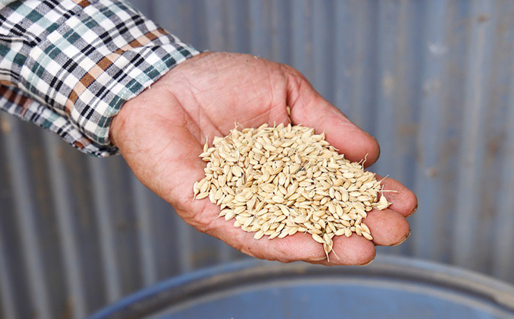 媛っこ地鶏 極上モモ焼き鳥 セット【15本】（906）