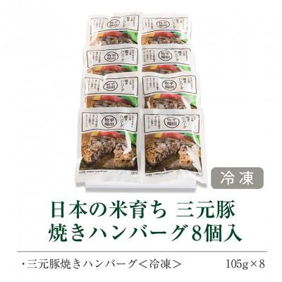 ふるさと納税 酒田市 【平田牧場】日本の米育ち◆三元豚焼きハンバーグ　8個 |  | 01