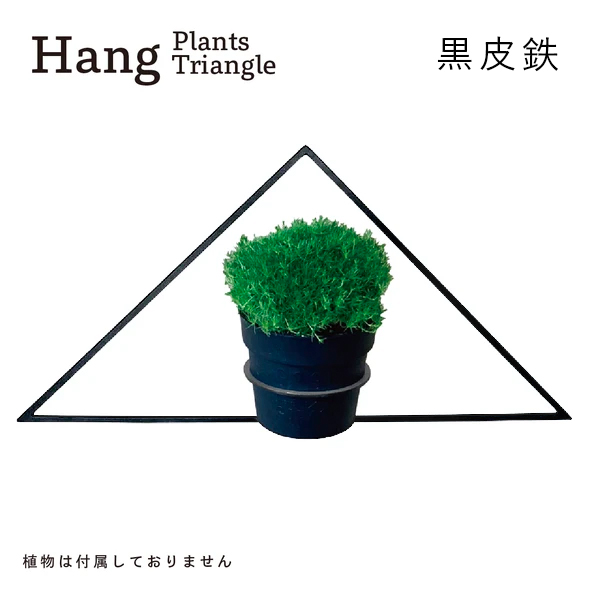 GRAVIRoN Hang Plants シリーズ Triangle/Diamond/Round セット 黒皮鉄（プランツハンガー） 観葉植物 プランター_イメージ5