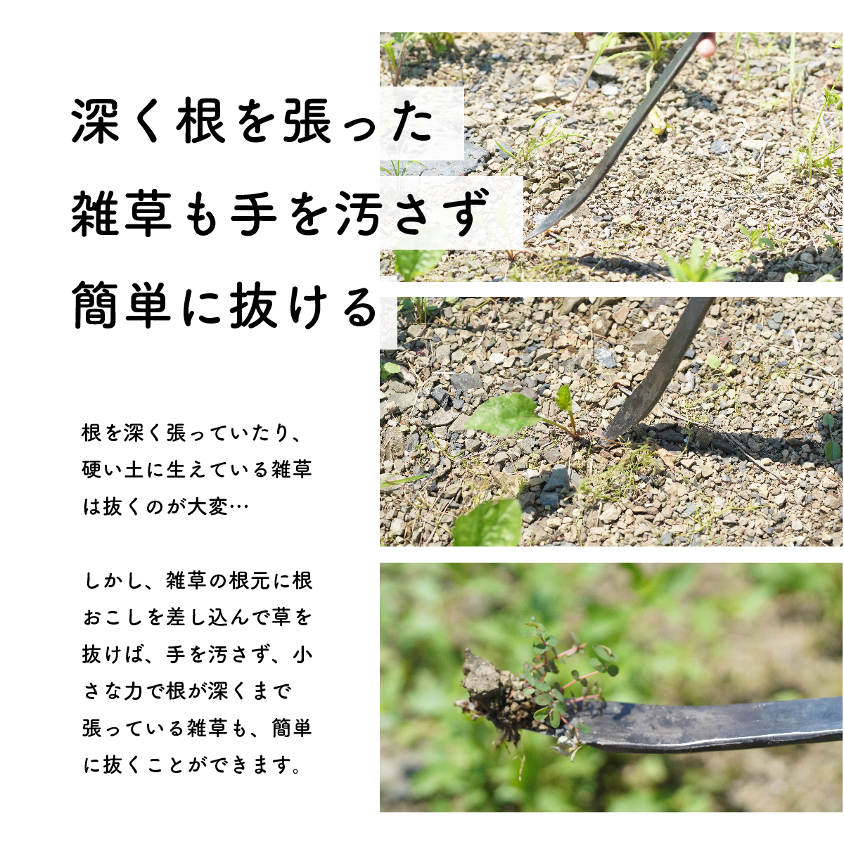 鍛治職人が作った 根おこし 草抜き 道具 ガーデニング 雑草抜き_イメージ3