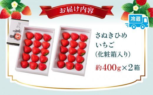 さぬきひめ いちご化粧箱 約400g×2箱【2024年11月中旬～2025年1月下旬配送】