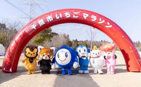 千葉市いちごマラソン10ｋｍマラソン参加券　駐車券　チケット 体験 参加券 マラソン 10km いちごのお土産 高校生以上 数量限定 千葉市 千葉県