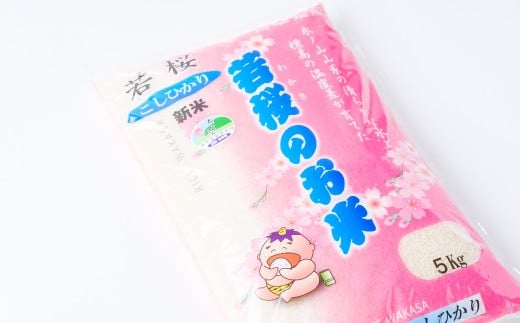 
            13300．特別栽培米　若桜（わかさ）のお米　コシヒカリ　5kg
          