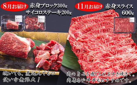 【定期便】牛肉 宮崎牛 赤身 全4回 牛肉ステーキ 焼肉 和牛ブロック 和牛サイコロ カット 定期便 牛肉 角切り 牛肉 スライス 薄切り牛肉 うす切り 冷凍 送料無料 予約 定期便 国産 牛 肉 宮