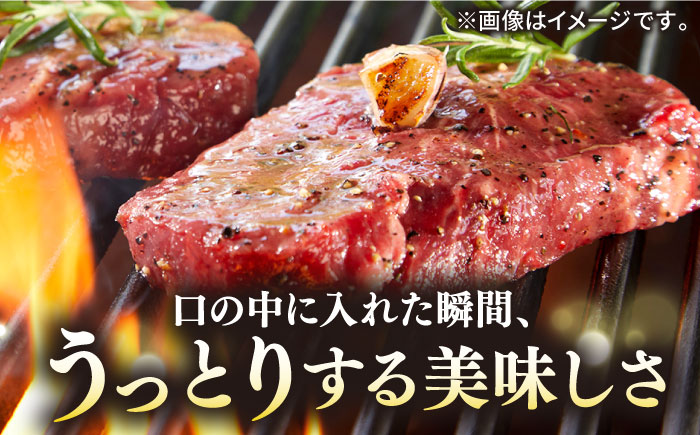 【全3回定期便】極上 壱岐牛 A5ランク ヒレステーキ 200g×2枚（雌）《 壱岐市 》【 KRAZY MEAT 】 [JER030] 192000 192000円
