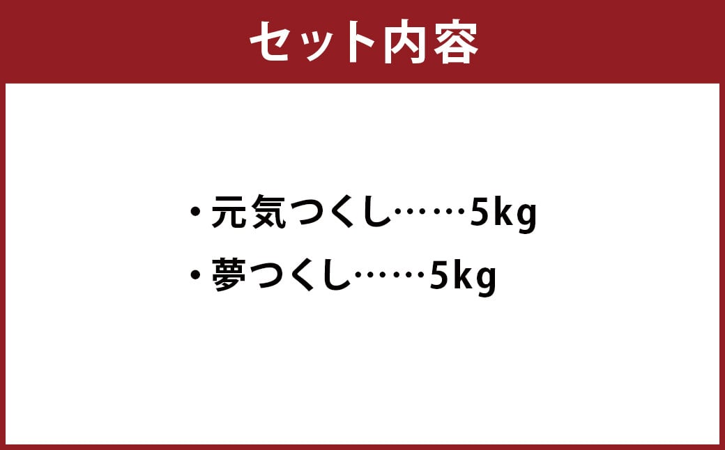 元気つくし・夢つくしセット 各5kg×1袋 計10kg