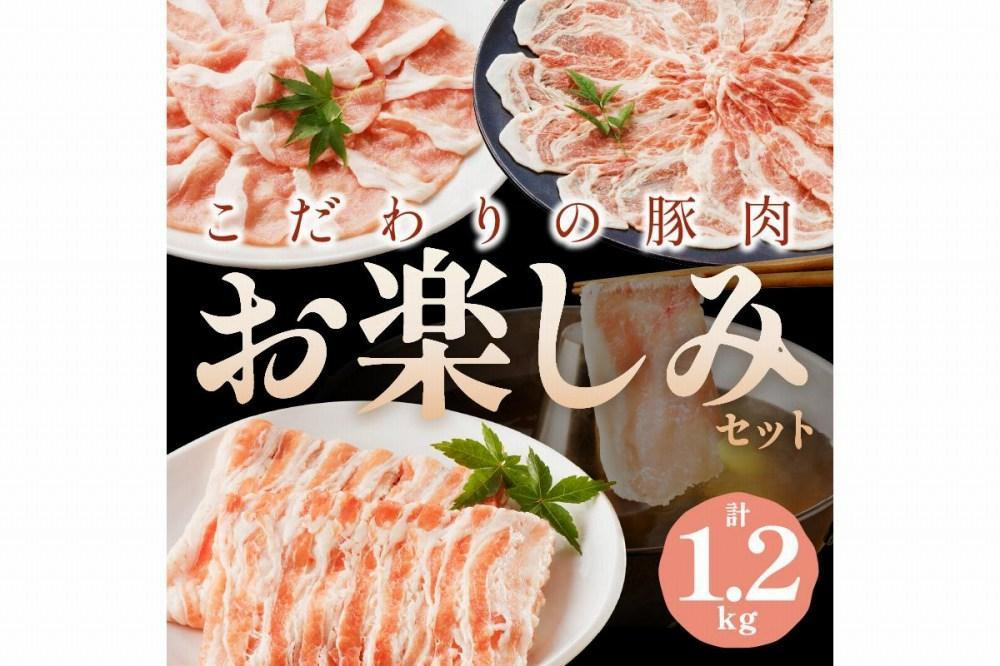 
京都産こだわりの豚肉　お楽しみセット　1.2kg（ロースまたは肩ローススライス300g×2パック、バラスライス300g×2パック）　国産 京都産 豚肉 冷凍 厳選 京都 京丹後 ロース 肩ロース ろーす スライス バラ肉 ばら ふるさと納税 豚肉セット 送料無料　TN00013
