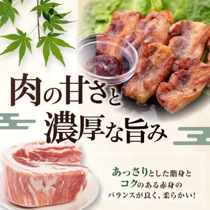 【全3回定期便】平田牧場 バラ ブロック 1.2kg (600g×2P) 豚肉 煮豚 [AJAP107]